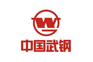【案例】百乐博耐磨陶瓷衬板在武汉钢铁烧结厂的实验结论报告